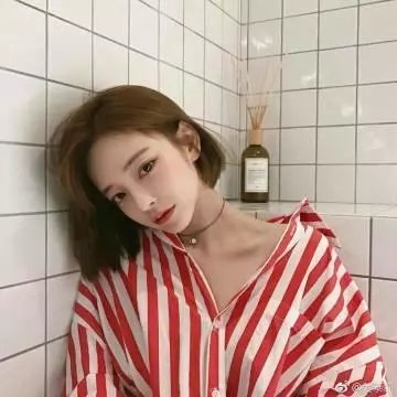蔷薇少女 序曲